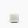 Citrus Peel & Pine 3-Wick Candle