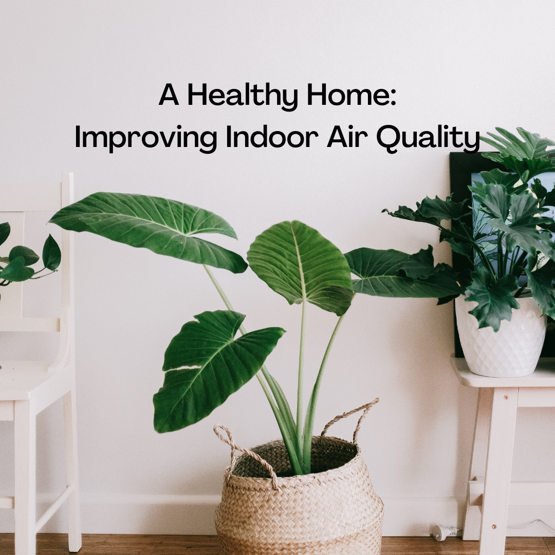 Improving Your Home’s Indoor Air Quality