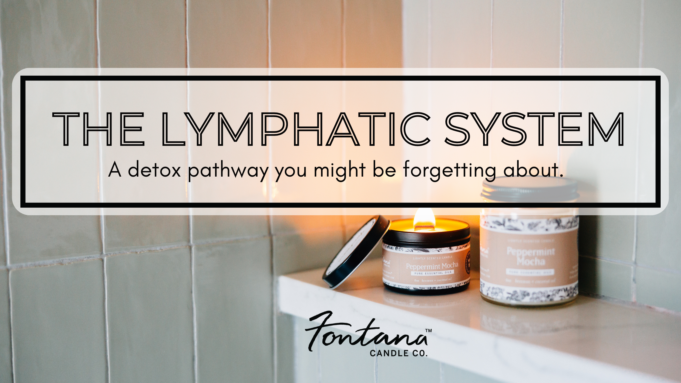 Lymphatic System: The detox pathway you might be forgetting about.