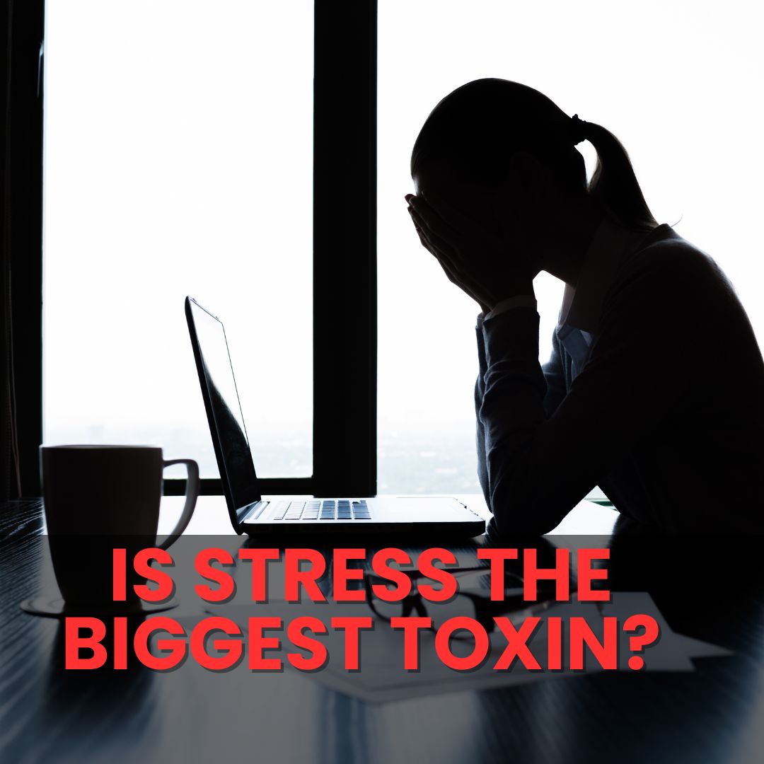 Is Stress a Toxin?