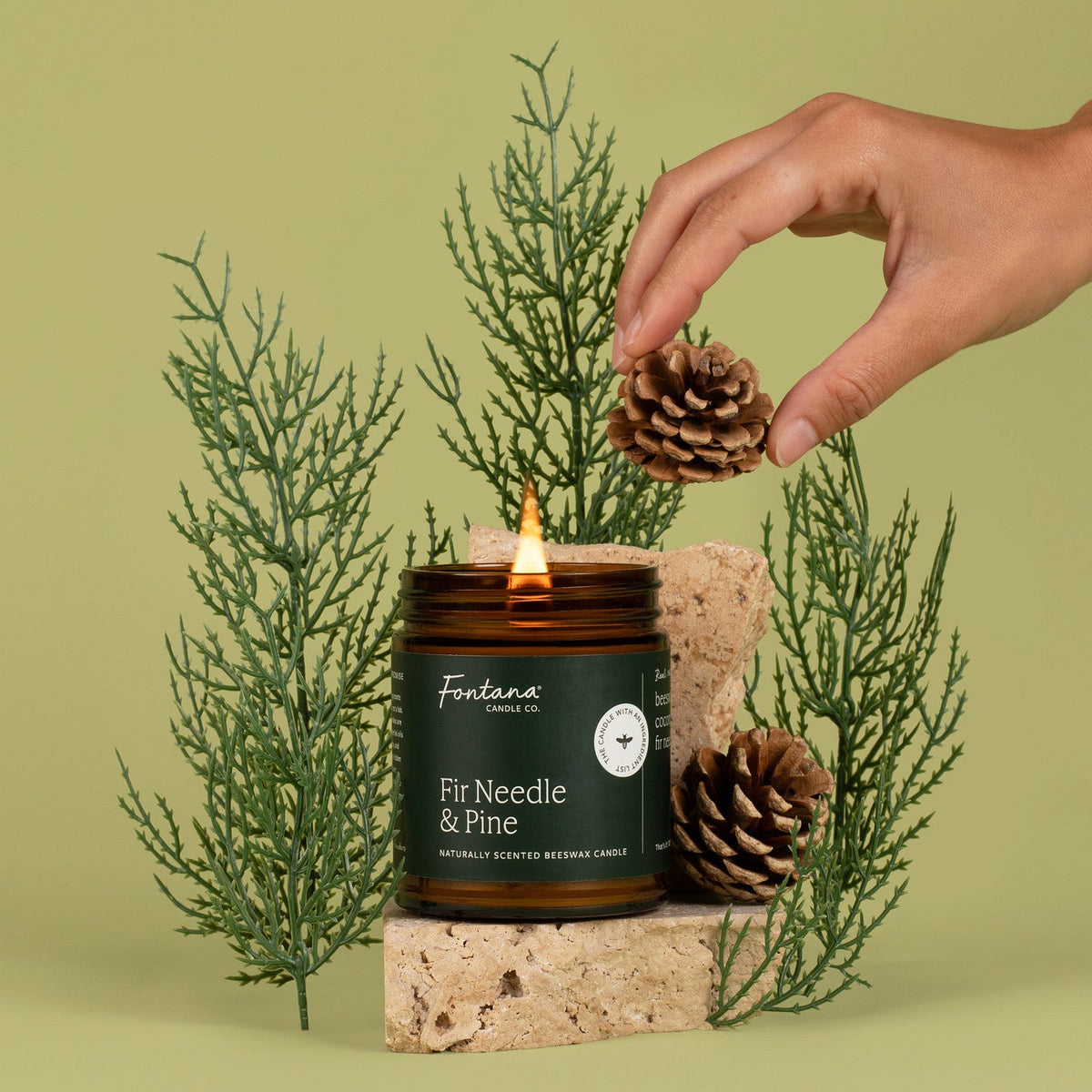 Candle with 'Fir Needle &amp; Pine' label, surrounded by greenery and a hand placing a pine cone on top, against a light green background.