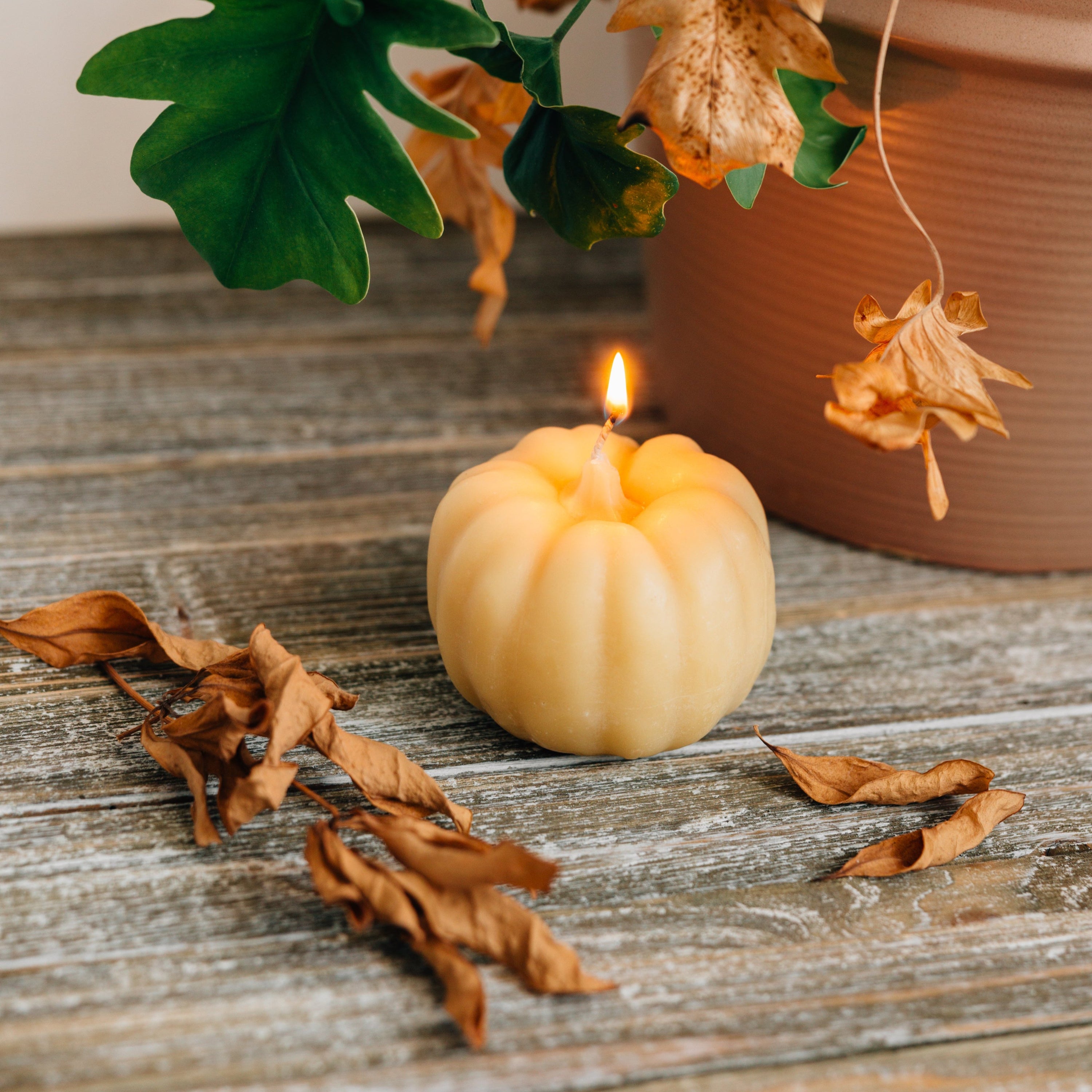 Pure Beeswax Pumpkin Molded Candle