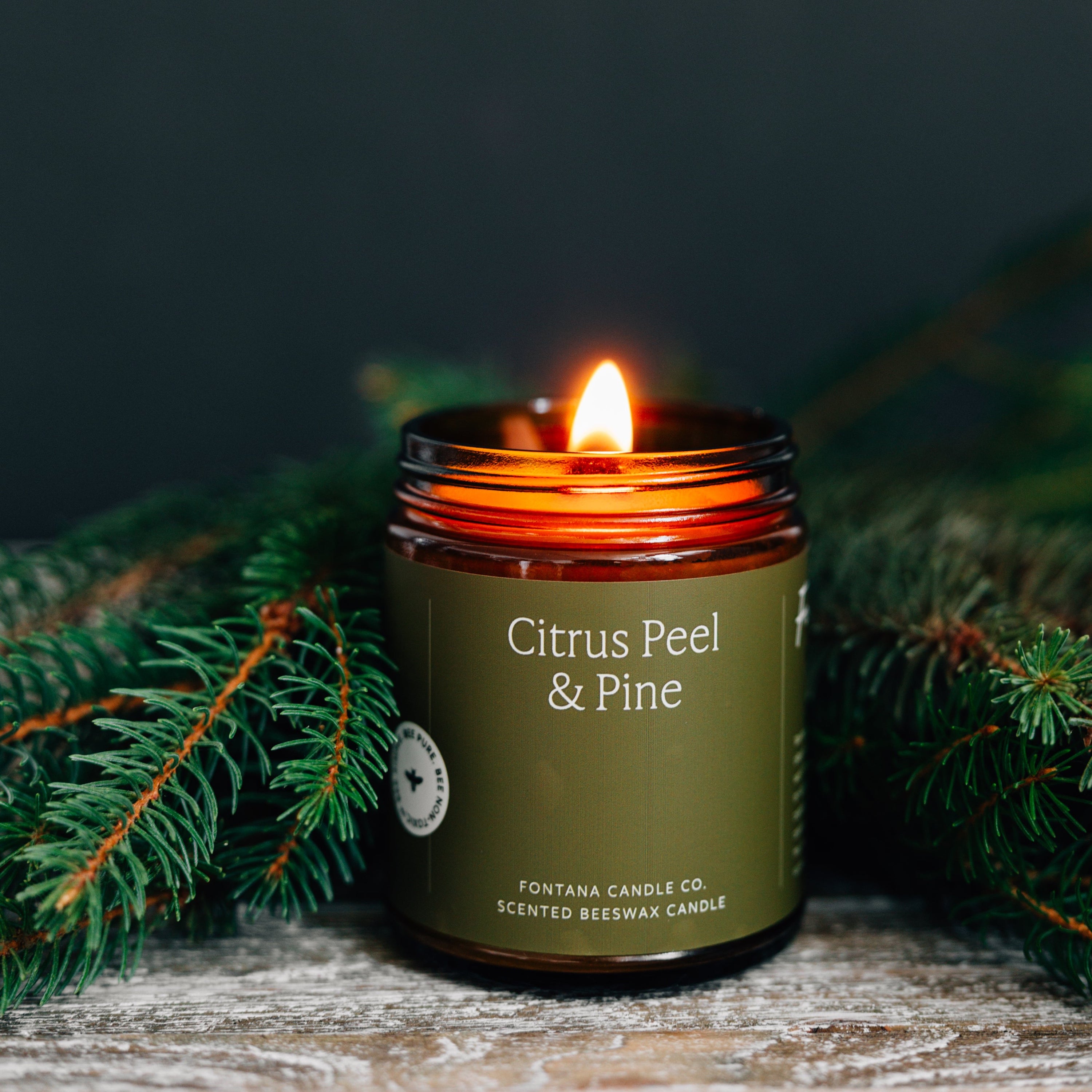 Citrus Peel & Pine Essential Oil Candles