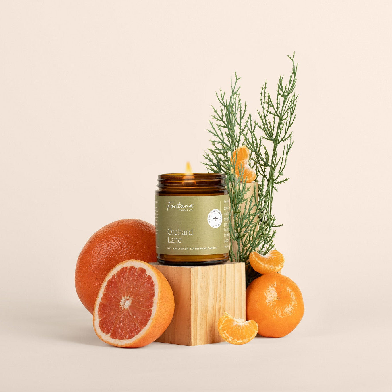 Orchard Lane Candle in a jar with oranges, tangerines and greenery on a beige background