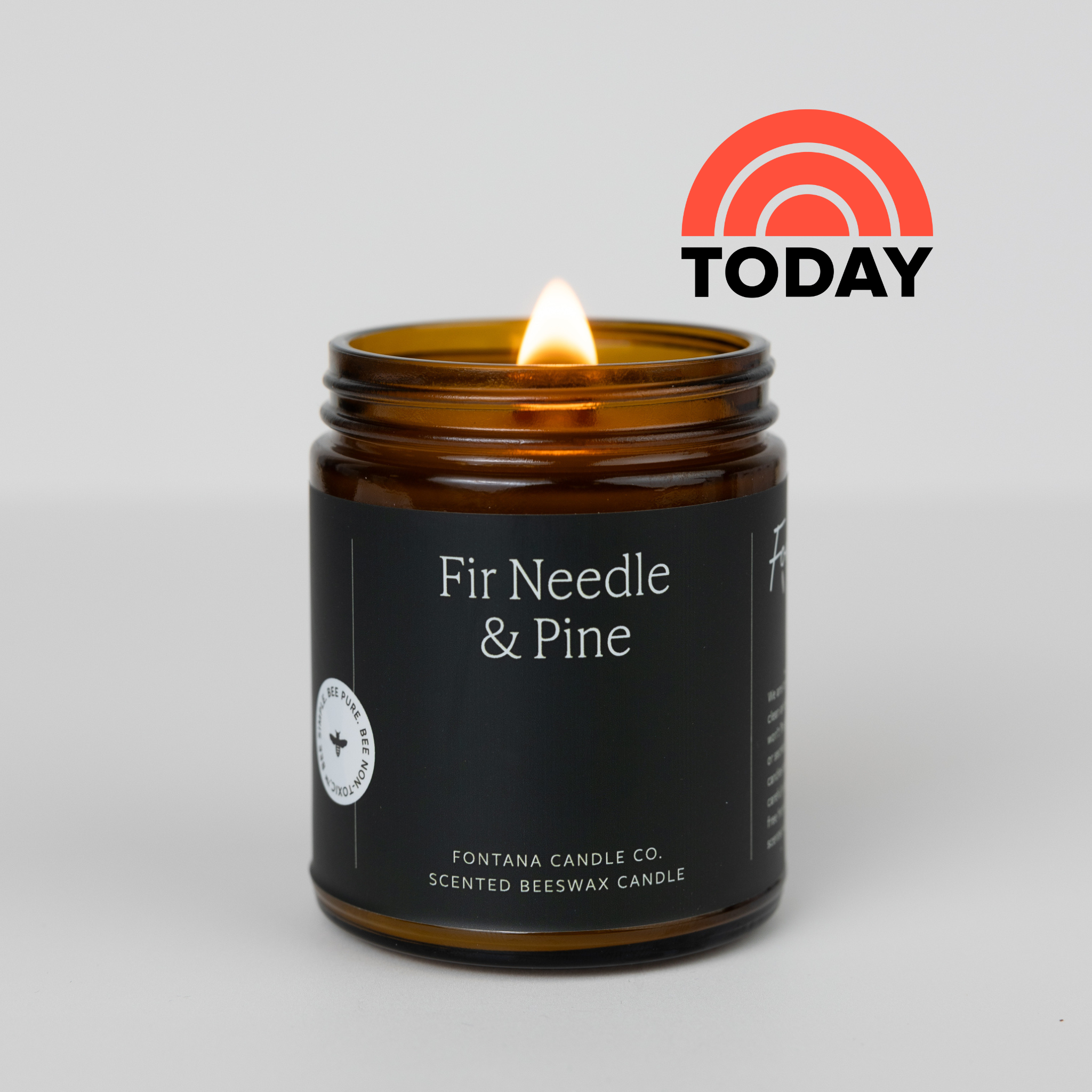 fir_needle_Today.png