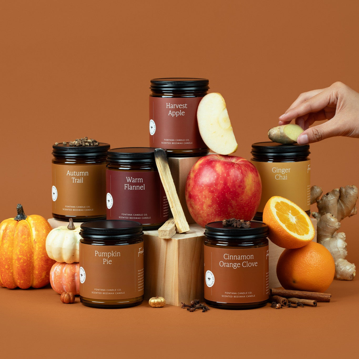 Collection of 6 amber glass jar candles with autumn-themed packaging on a brown background, surrounded by pumpkins, apple slices, spices, and cinnamon sticks.