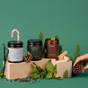 Collection of 3 amber glass jar candles, surrounded by vanilla, candy cane, evergreen branches, and pinecones in front of a green background.