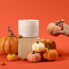 Lit 3-Wick candle in a white glass vessel on top of a wooden block and surrounded by pumpkins of various sizes. 