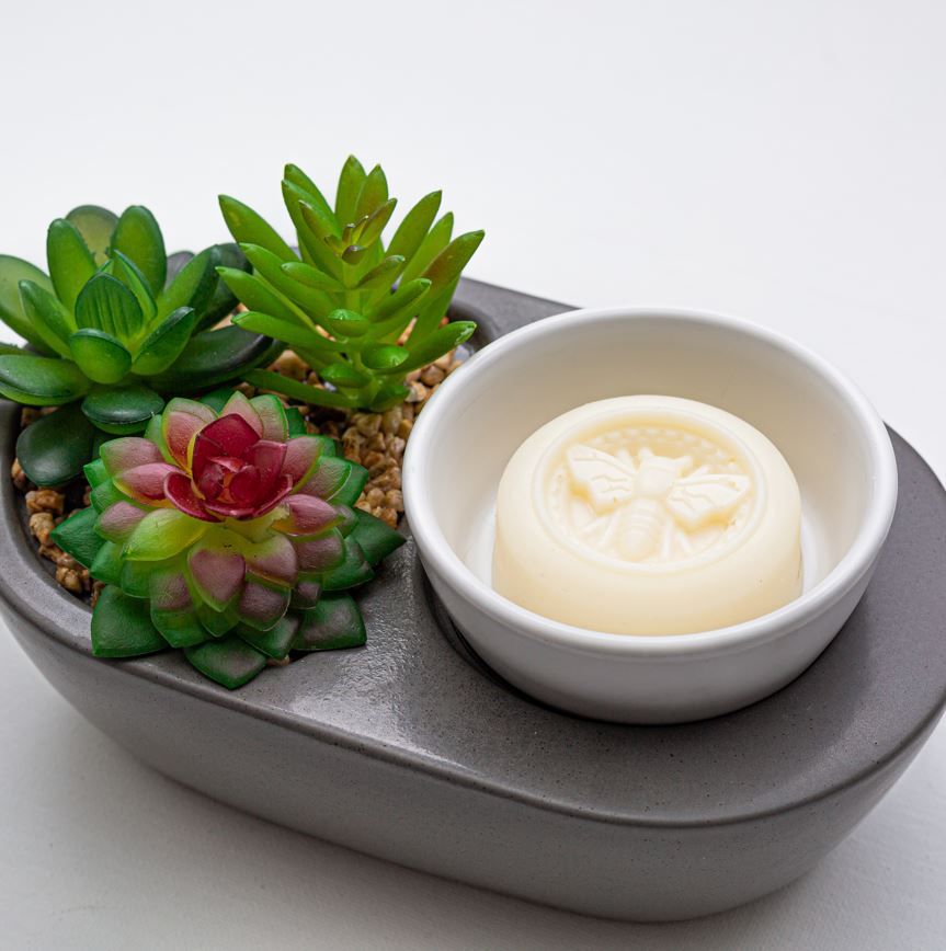 succulent wax melts Cypress Sage & Patchouli Essential Oil Wax Melts